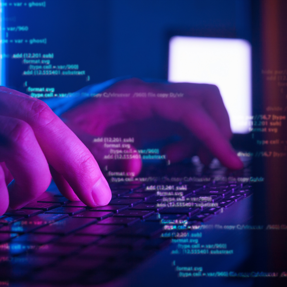 web developer vacancy